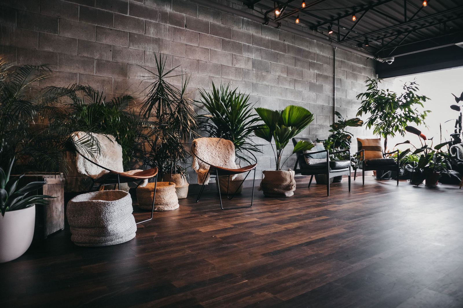 The Garden Strathcona studio, a plant filled room with soft seating and natural light.
